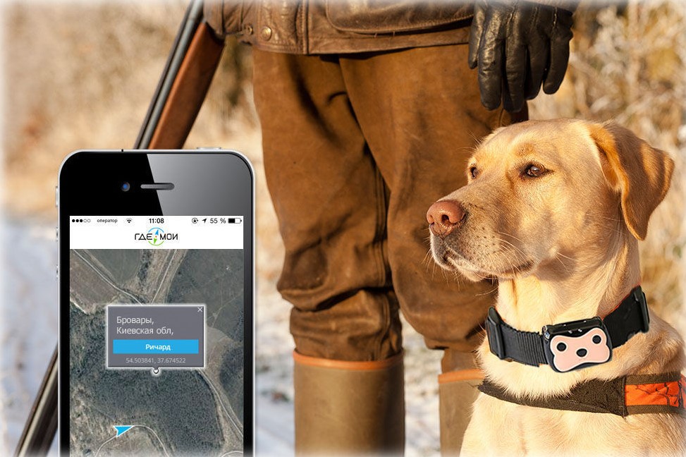 GPS ошейник для охотничьих собак, GPS ошейник для охотничьих собак купить
